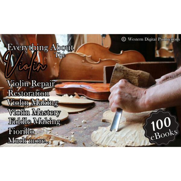 Everything About Violins