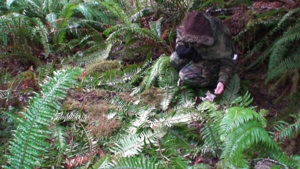 Bigfoot Videos Vol 5-6 - Image 9