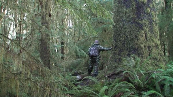 Bigfoot Videos Vol 5-6 - Image 13