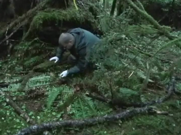 Bigfoot Research Video Vol 1-2 - Image 4