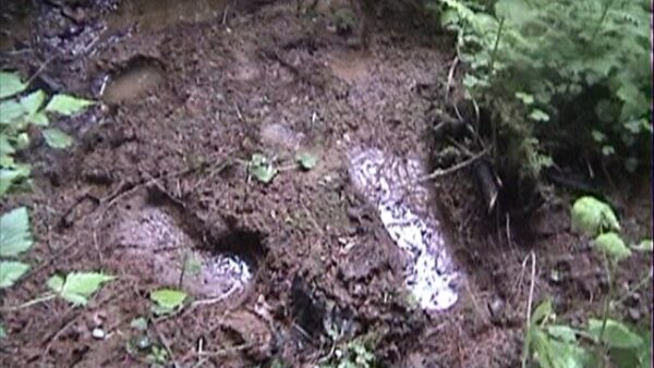 Bigfoot Research Video Vol 1-2 - Image 10